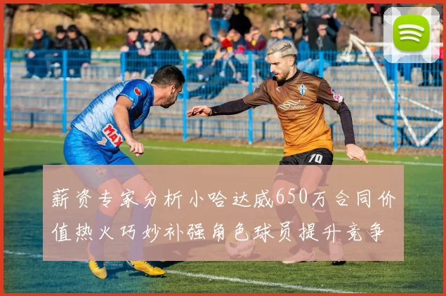 薪资专家分析小哈达威650万合同价值热火巧妙补强角色球员提升竞争力